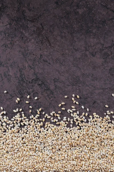 Organic uncooked pearl barley top view. Grains of raw dried broken barley cereal grain as an abstract texture background.