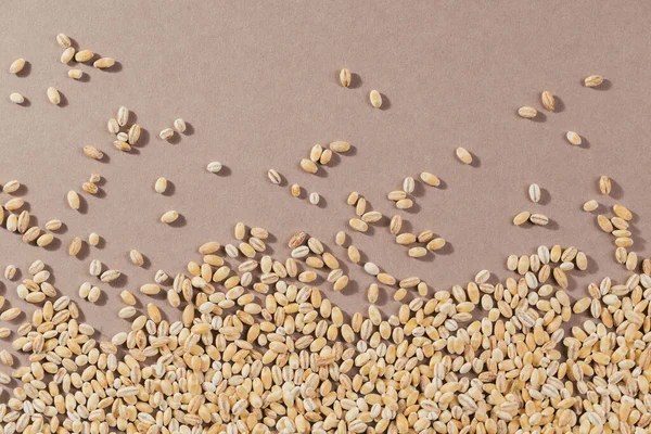 Organic uncooked pearl barley top view. Grains of raw dried broken barley cereal grain as an abstract texture background.