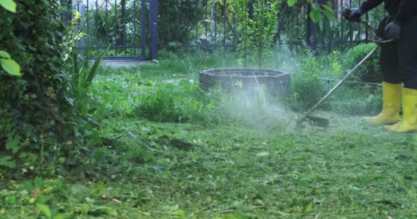 芝生を電動芝刈り機でトリミングする庭師 — ストック動画