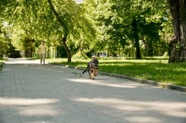 Yavru köpek parktaki mutlu çocuktan kaçıyor.