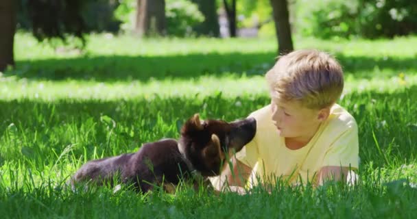 Menino feliz deitado com filhote de cachorro amigável na grama — Vídeo de Stock