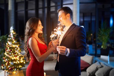 Mutlu çift Noel tatilini evde kutluyor..