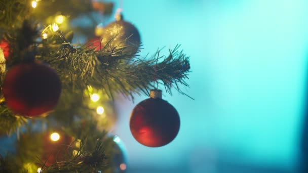 Gros plan de boule rouge accrochée à la branche de l'arbre de Noël — Video