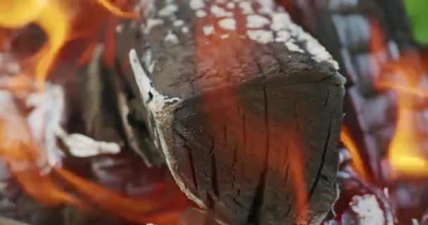 Close up de línguas vermelhas de chama de lenha — Vídeo de Stock