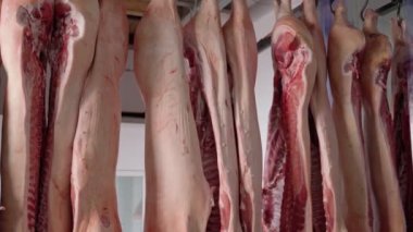 Raylarda asılı çiğ domuz leşleri.