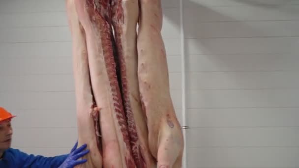 Männlicher Fabrikarbeiter schubst Schweinekadaver in Schlachtraum. — Stockvideo