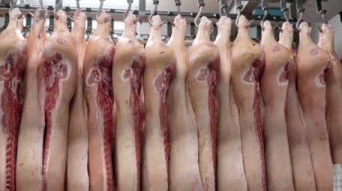 Mezbahada çiğ domuz kancalarına asılı..