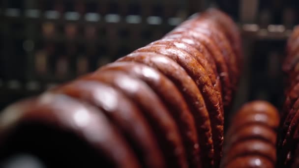 Anneaux de viande de saucisse suspendus à de longues cordes. — Video