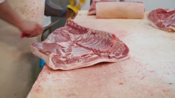 Nierozpoznawalny rzeźnik krojący mięso na przenośniku. — Wideo stockowe