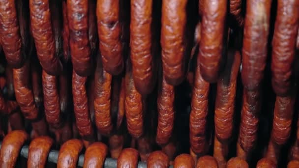 Anneaux de saucisse rouge frais suspendus dans la fabrication. — Video