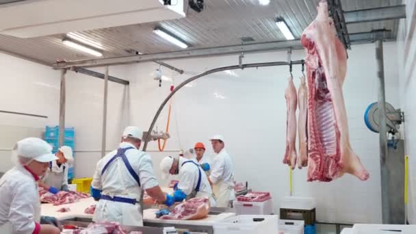 Grupo de carniceros cortando cerdo en fábrica de carne. — Vídeos de Stock