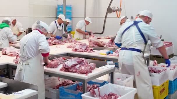 Мясники и мясники режут свинину на мясокомбинате. — стоковое видео