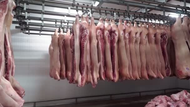 Carni crude all'ammasso dei macelli. — Video Stock