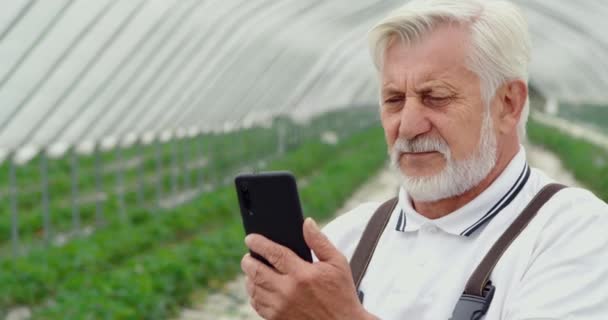 Agricultor buscando información sobre teléfono en invernadero. — Vídeo de stock