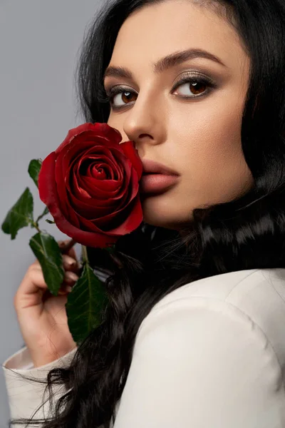 Charming woman holding red rose near plump lips in studio — Stok Foto