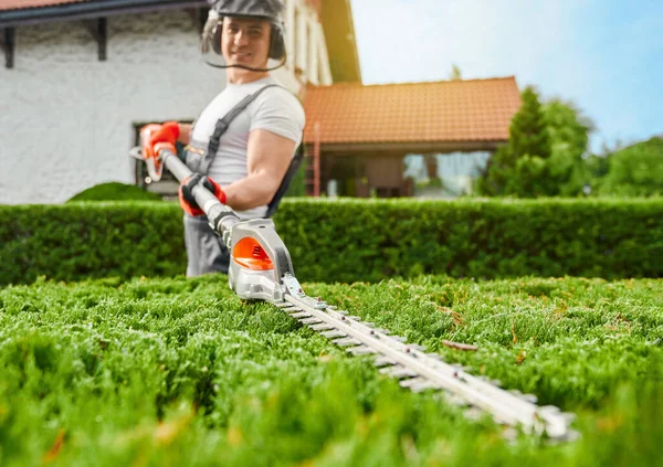 Gardener cutting overgrown bushes with electric trimmer — Zdjęcie stockowe