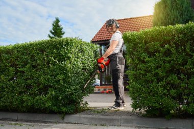 Gardener cutting bushes with electric trimming machine