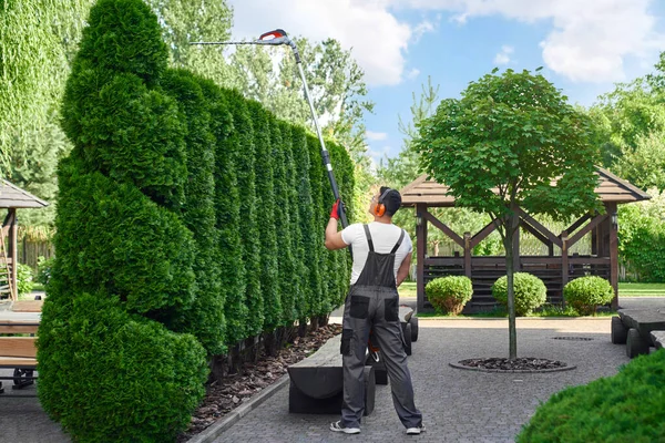 Back view of male gardener trimming hedge on back yard — Stockfoto