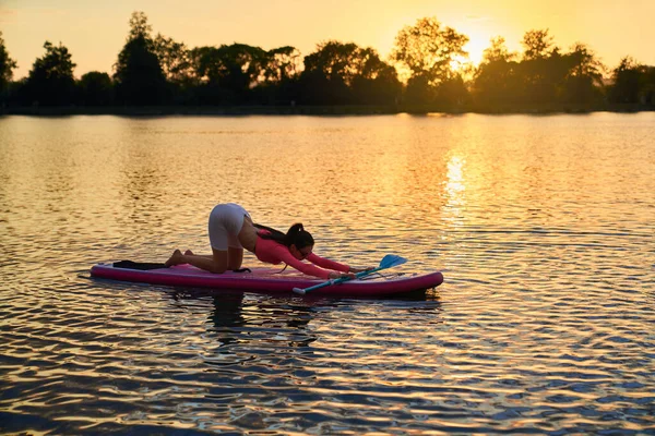 Jonge vrouw in activewear stretching lichaam op sup board — Stockfoto