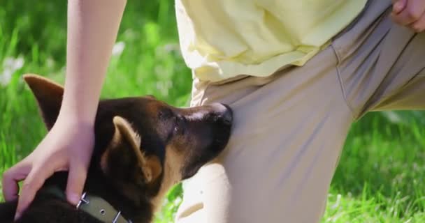Anak kecil duduk di rumput dan membelai anak anjingnya yang lucu — Stok Video