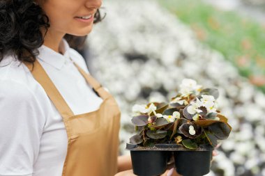 Serada elinde otla poz veren kadın çiçekçiye yakın çekim