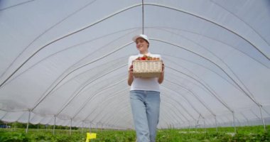 Çilek dolu sepetle serada yürüyen bir kadın.