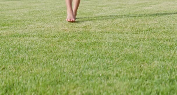 Zbliżenie żeńskich nóg spacerujących boso po trawie — Wideo stockowe