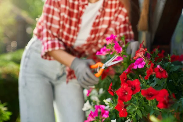 Vrouw met behulp van tuinieren schaar voor het verzorgen van bloemen — Stockfoto