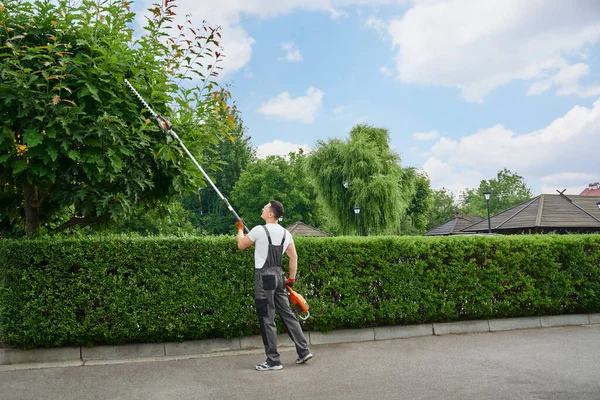 Jardinero en árboles de corte uniforme con cortador eléctrico — Foto de Stock