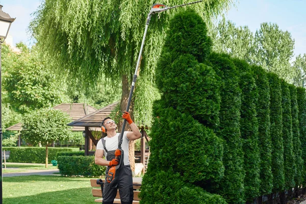Tuinman maaiheg met elektrische trimmer op achtertuin — Stockfoto