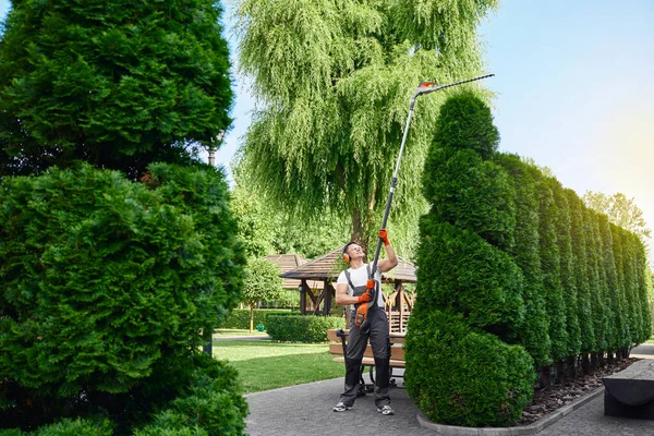 Pria kaukasia berseragam pemangkasan thujas di taman — Stok Foto