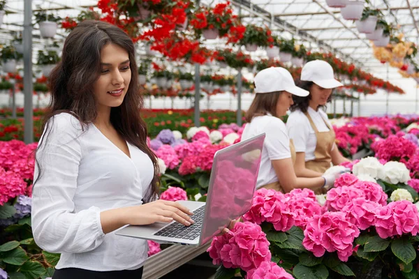 Women working in modern large greenhouse. — Stock Photo, Image