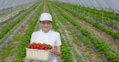 Serada çilekli sepet taşıyan bir kadın.
