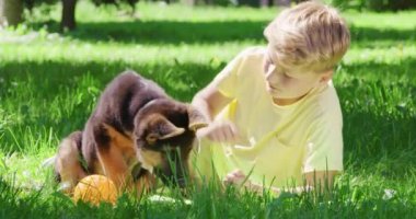 Gülümseyen çocuk ve Alman çoban köpeği parkta oynuyorlar.