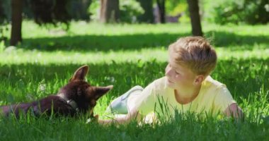 Güzel çocuk ve neşeli köpek çimenlerde birlikte rahatlıyor.