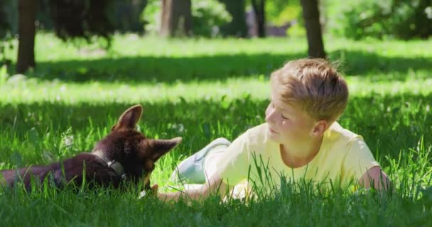 Mooie jongen en speelse puppy ontspannen samen op gras — Stockvideo