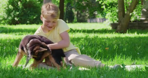 Junge entspannt im Sommerpark mit verspieltem Welpen — Stockvideo