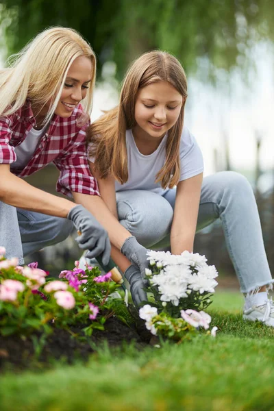 Happy mother and daughter planting flowers on backyard — Stock Photo, Image
