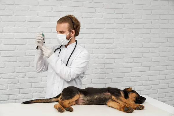 Állatorvosi fecskendő, oldalt fekvő kutya. — Stock Fotó