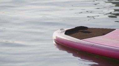 Şehir gölünde yüzen renkli yiyecek panosunu kapat.