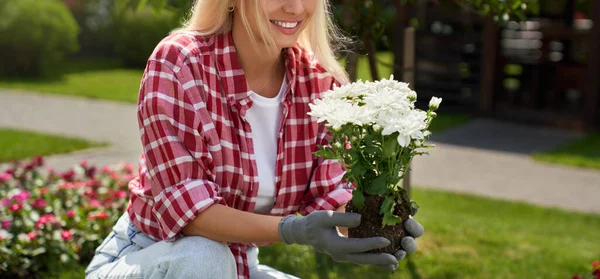 Close-up van de vrouw zaailing bloemen uit pot op de achtertuin — Stockfoto