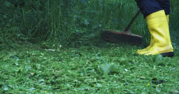 Close up of man cutting grass using gasrol lawn trimmer — стоковое видео