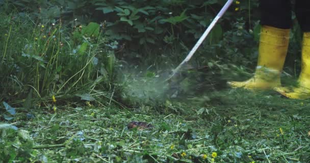 Jardineiro competente cortando grama alta com cortador elétrico — Vídeo de Stock