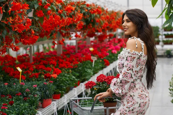 ผู้หญิงสาวเลือกดอกไม้สีแดงที่สวยงามกับรถเข็น . — ภาพถ่ายสต็อก