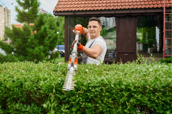 Hombre con gafas y guantes moldeando arbustos en el patio trasero — Foto de Stock