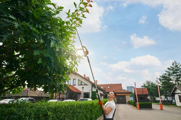 Profesjonell gartner som beskjærer hekker om sommeren – stockfoto