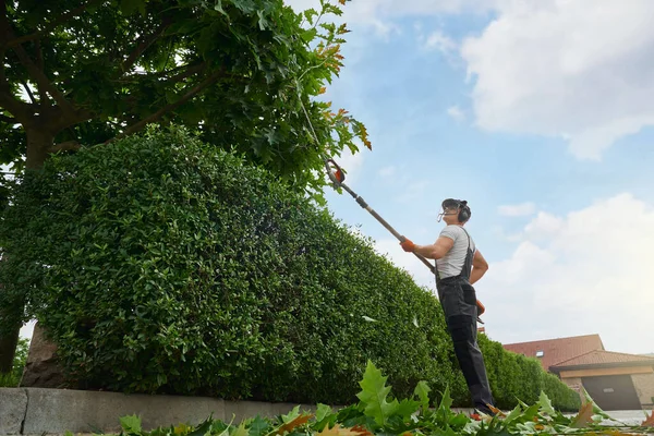 Mies puutarhuri käyttäen sähkö trimmeri kärjessä — kuvapankkivalokuva