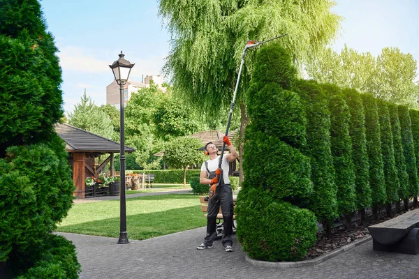 Gardener using electric hedge trimmer for work on back yard — kuvapankkivalokuva