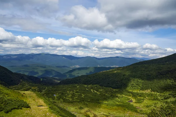 Yazın dağların arasında çalılar ve ağaçlarla güneşli yeşil bir vadi..