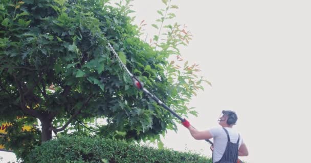 Jardinero experimentado en árbol cubierto de recorte uniforme con máquina eléctrica. — Vídeo de stock